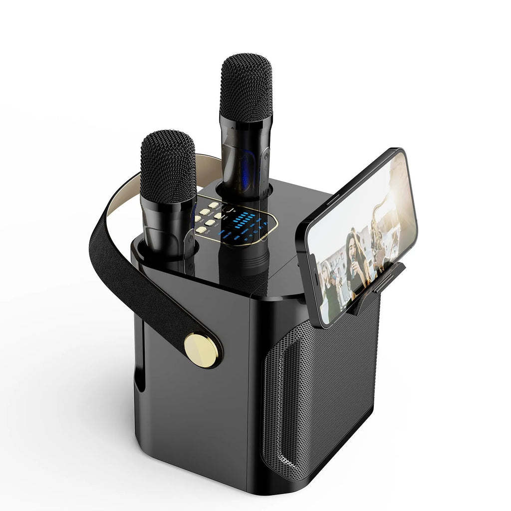 Bluetooth speaker outdoor karaoke with dual microphones in black colour
