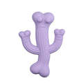 Cactus-shaped dog chew toy in bamboo fibre and rubber showing textured surface and cactus silhouette