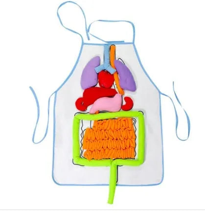 Green kids plush anatomy apron with movable body organs laid out on a table
