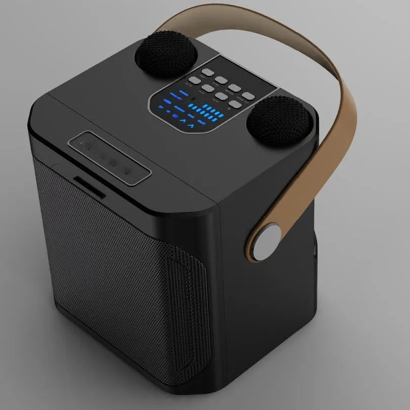 Bluetooth speaker outdoor karaoke with dual microphones in black colour