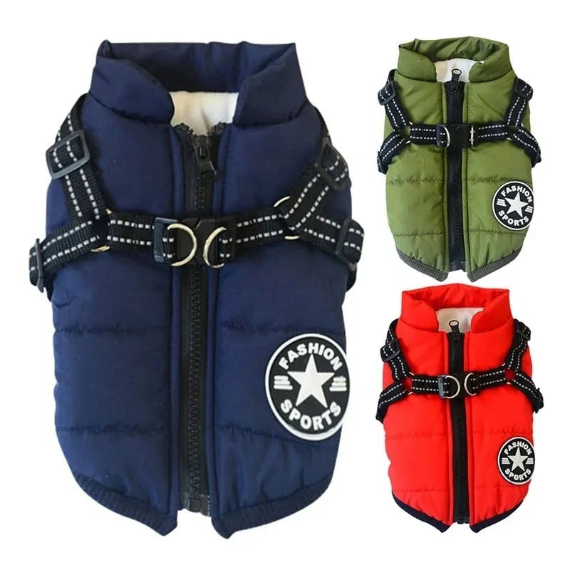 Small dog wearing a waterproof reflective coat with zipper and adjustable strap, available in multiple colours and nine sizes
