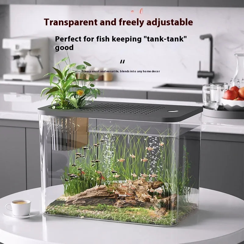 Medium black ecological betta fish tank with cover on a desk.