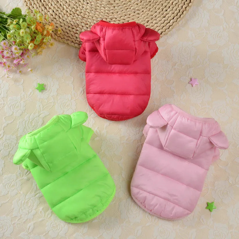 Small dog wearing bread down cotton jacket in bright colour for casual warm pet wear