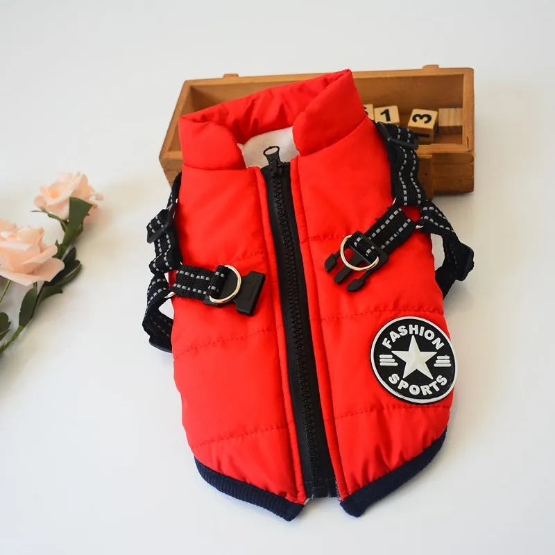 Small dog wearing a waterproof reflective coat with zipper and adjustable strap, available in multiple colours and nine sizes