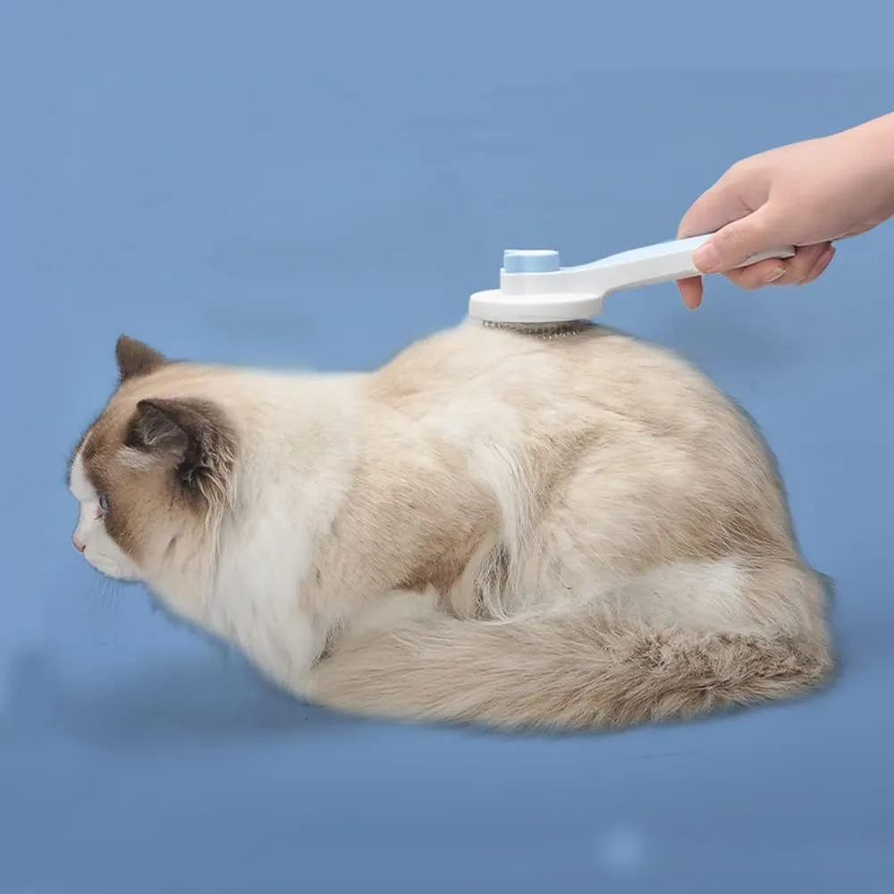 Blue self-cleaning cat brush with rubber-tipped metal pins and ergonomic handle for pet grooming