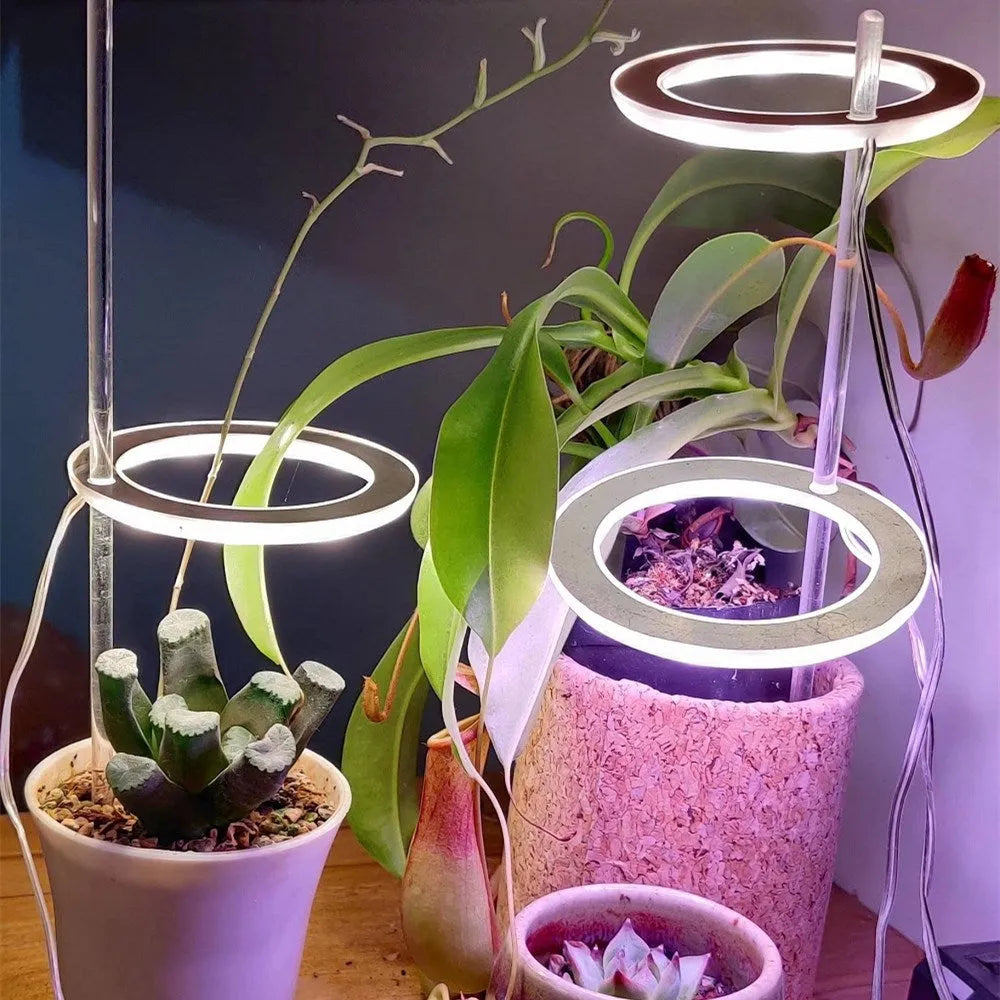 USB-powered full spectrum LED grow light with angel ring design for indoor plants