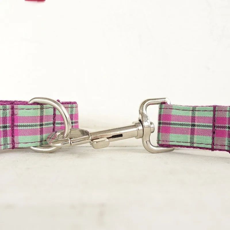 Mint zigezi coloured polyester dog collar and matching traction rope leash laid flat.