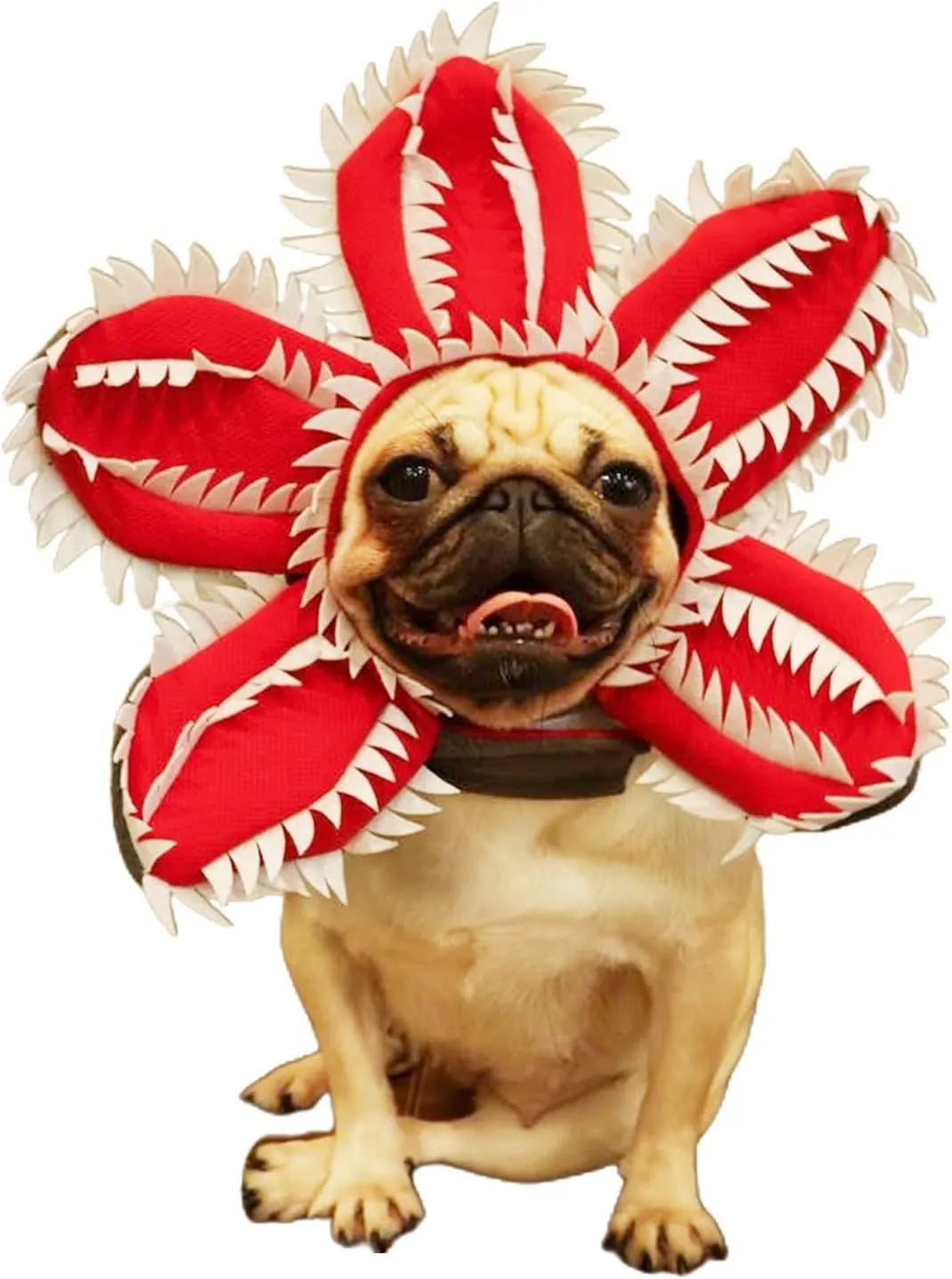 Dog wearing Halloween costume with demon hat headband and flower collar