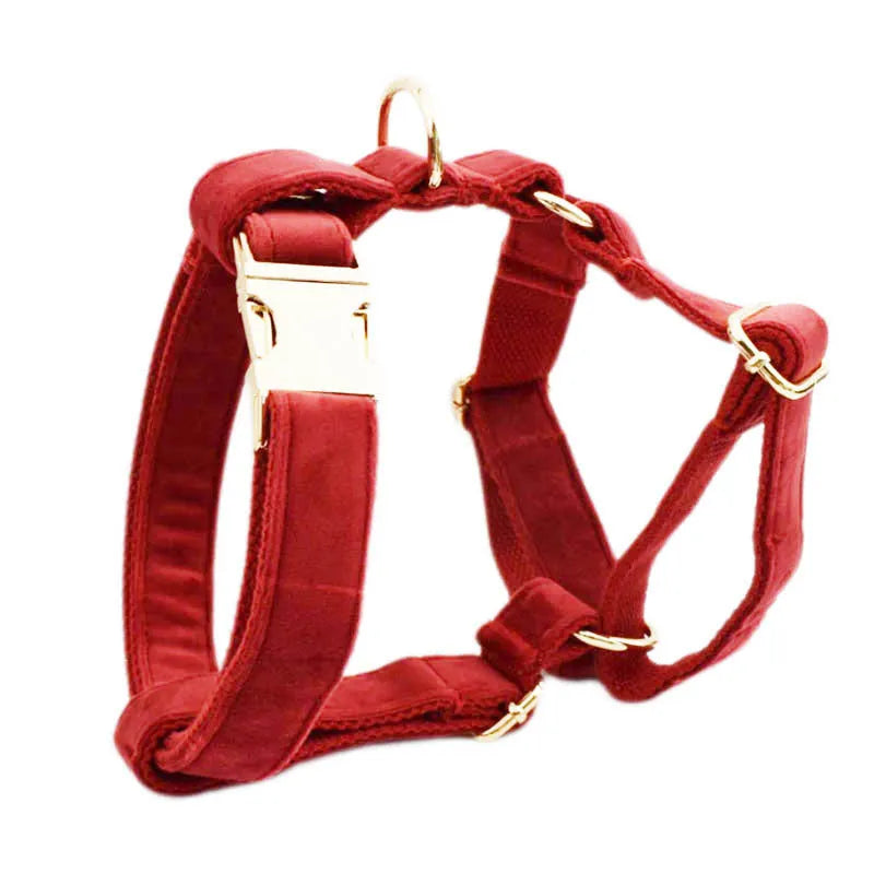Cloth dog collar and leash set with red bow, matching vest, and flower accessory on a small dog.