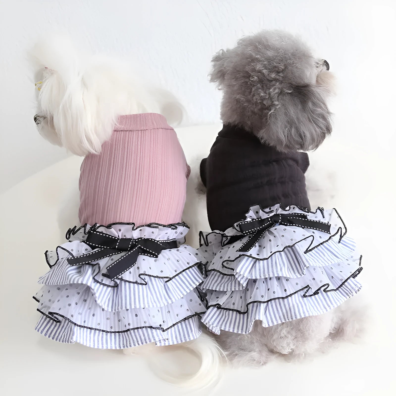 Polka dot lace cake dress for dogs in princess style with elastic back