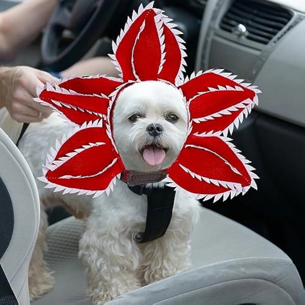 Dog wearing Halloween costume with demon hat headband and flower collar