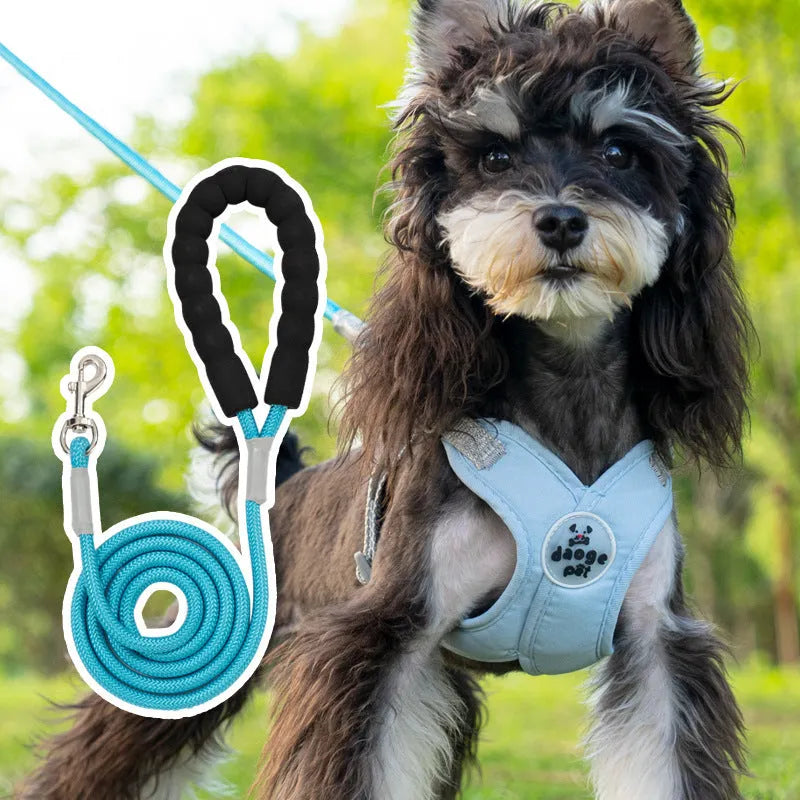 Polyester dog vest and hand-holding rope set in blue, green, pink, or yellow.