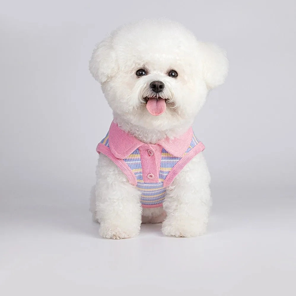 Pink purple lightweight mesh autumn vest for small dog or cat showing size range options