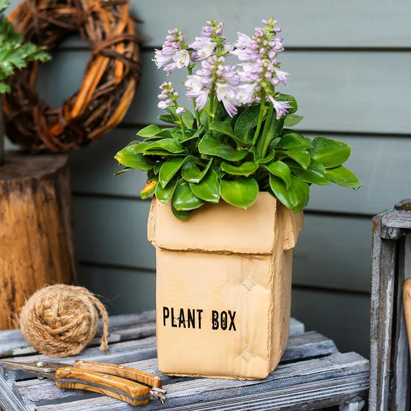 Cement flowerpot with bottom drainage holes in Nordic brown paper box design