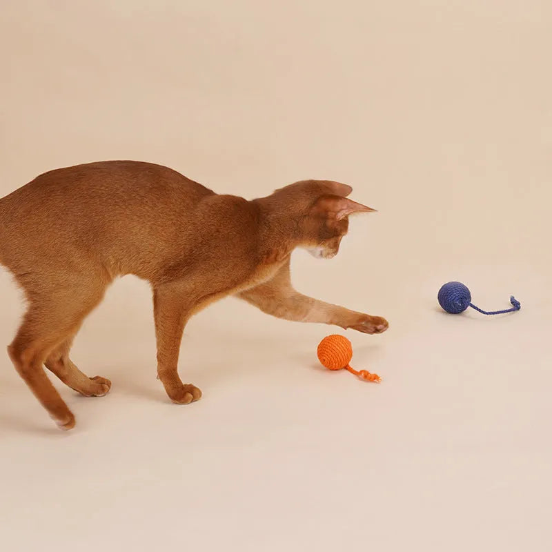 Cat toy set with blue teaser wand featuring a catnip ball and a separate self-play toy on a white background.