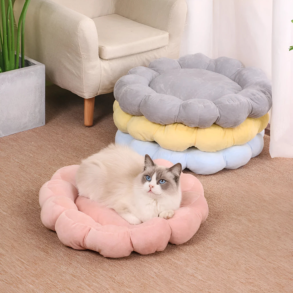 50x50cm double-sided plush pet bed with half-surrounded design in multi-colour petal pattern