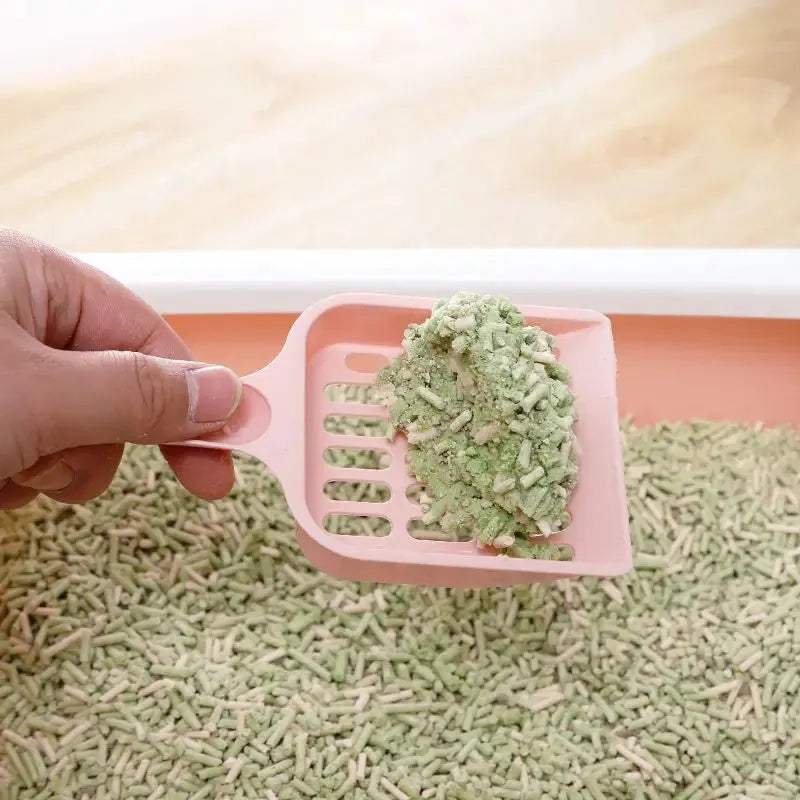 Plastic cat litter scoop in blue colour with dimensions 20cm long by 9cm wide