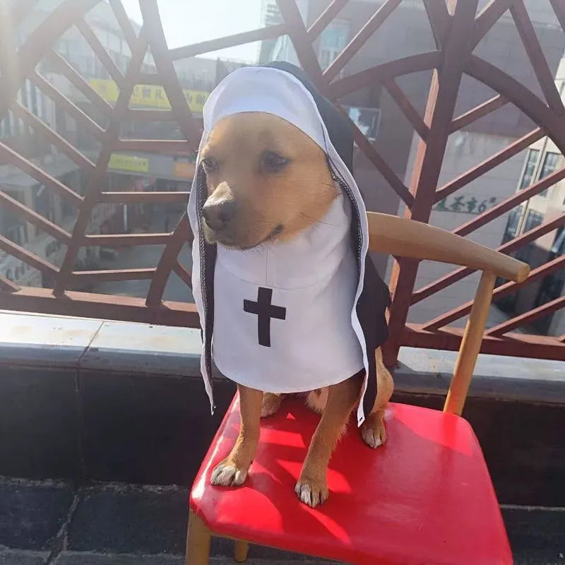 Black and white nun cloak costume for a small dog on a mannequin