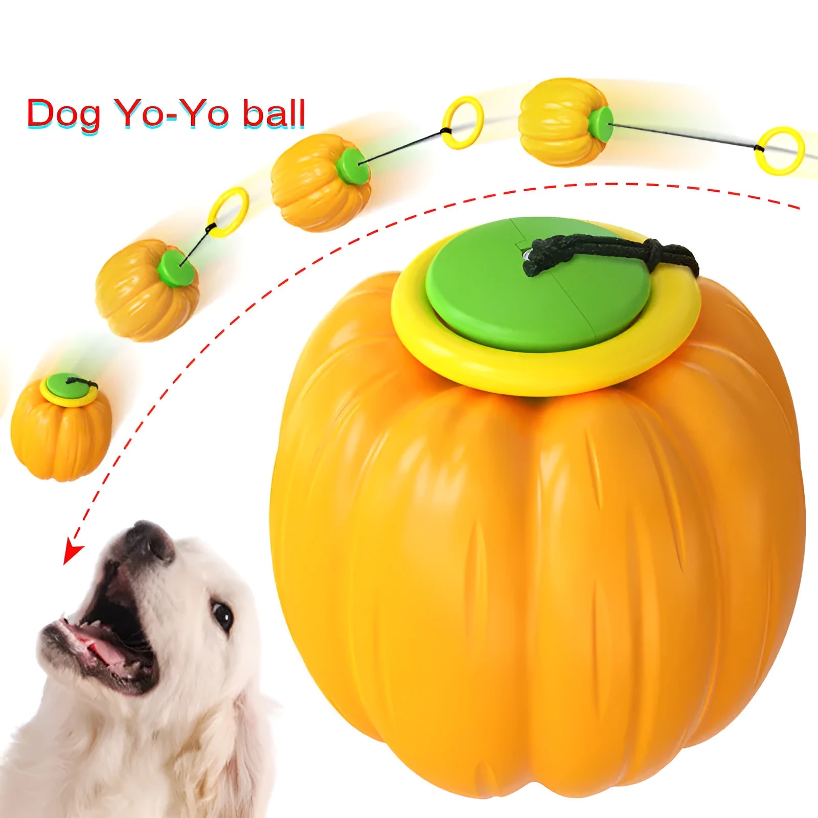 Orange plastic pumpkin-shaped dog chew toy with squeaker on a green background