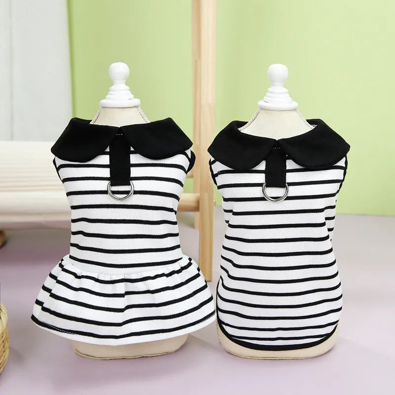 Pet dog wearing striped cotton T-shirt and matching skirt summer outfit set