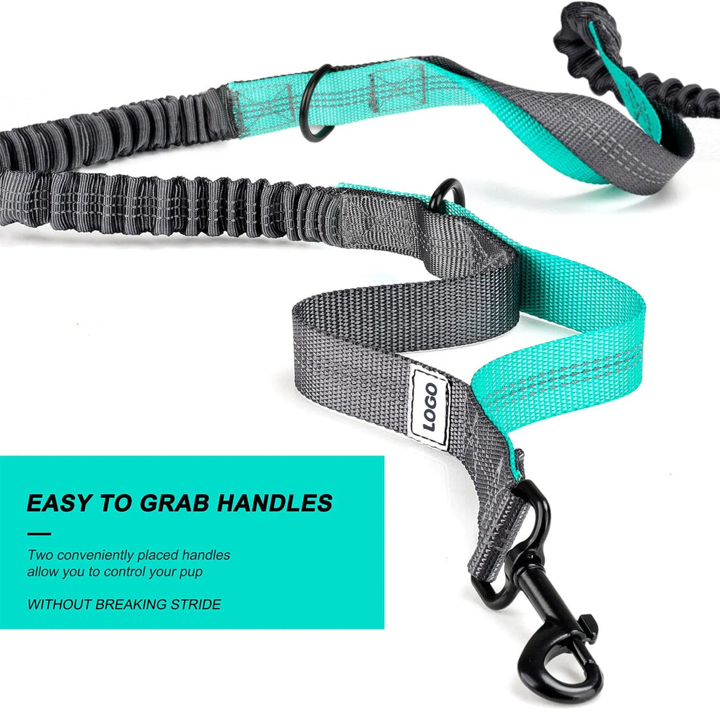 Black nylon dog walking set including waist bag and adjustable leash with collar for outdoor training