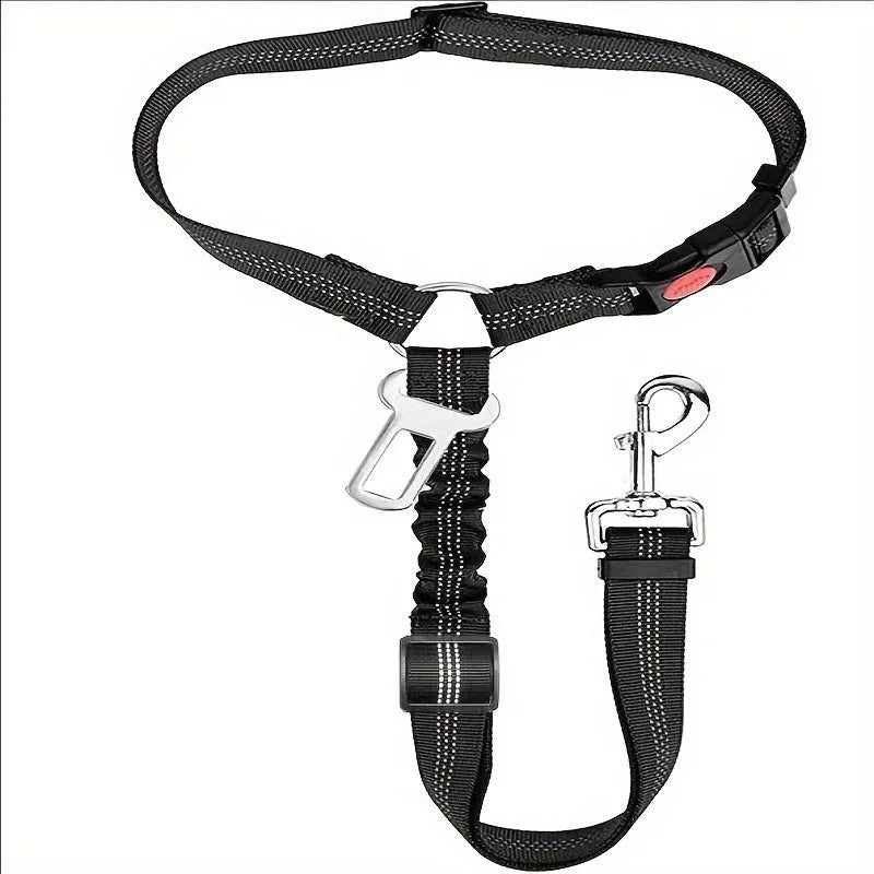 Nylon dog tow rope with metal buckle in multiple colour options on a white background