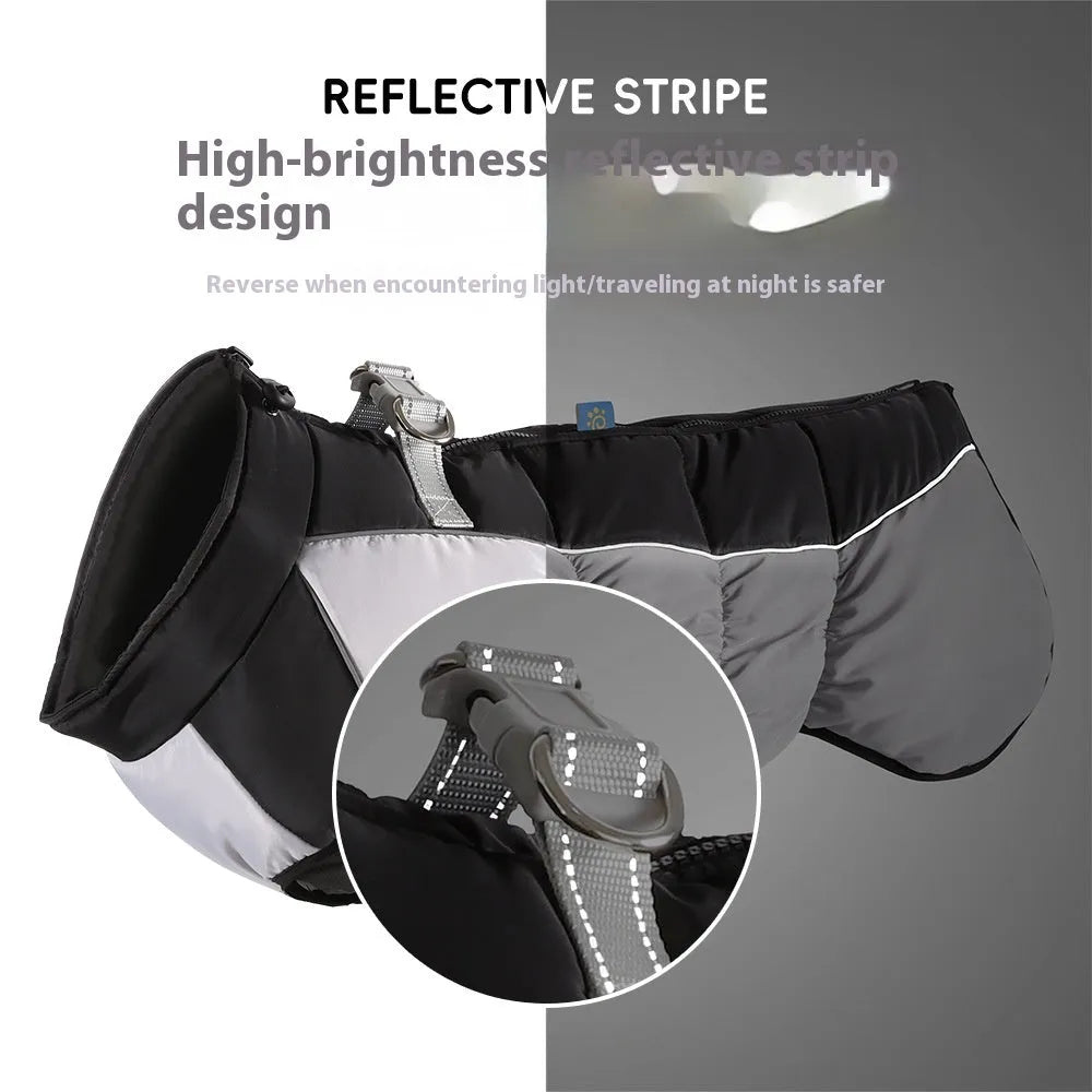 Large dog wearing waterproof reflective winter coat in polar fleece material