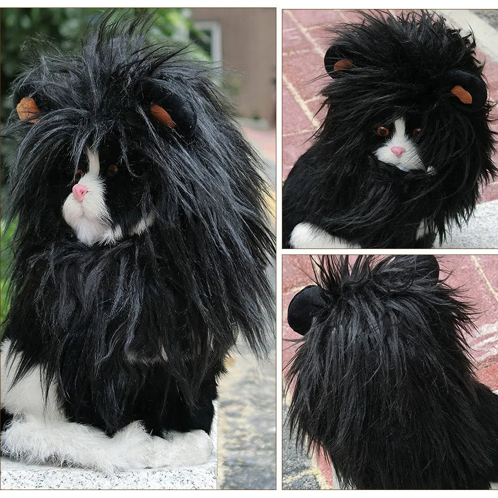 Black cat headgear wig hat costume accessory showing puppy lion design on cat
