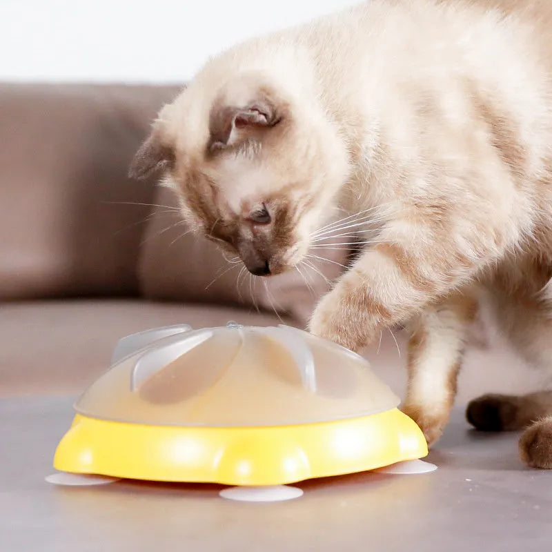 Yellow cat snack bowl with separate compartments and non-slip base pet toy