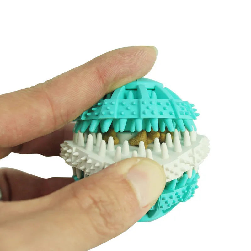 Dog molar chew toy in bone rope and spherical shapes with cotton face rope molar rod