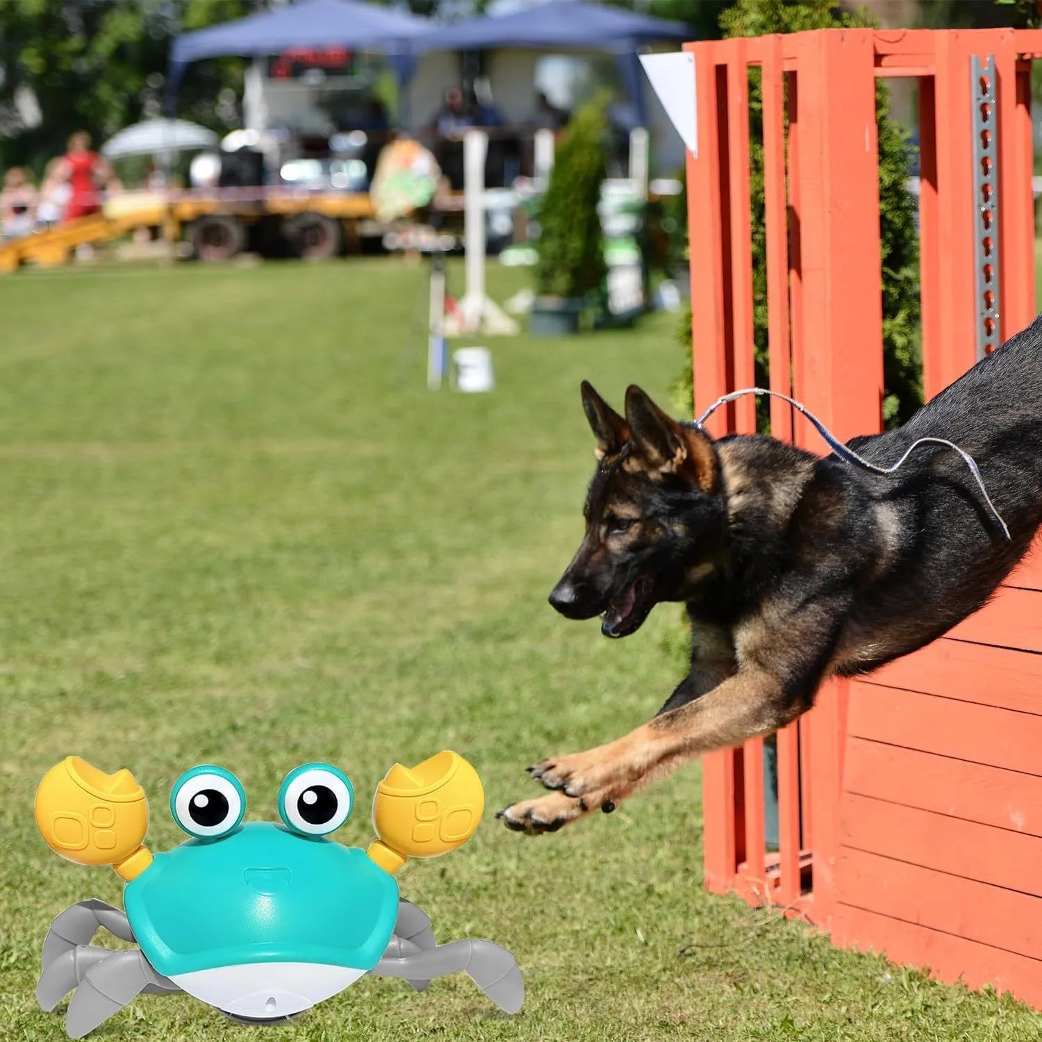 Blue electronic crab dog toy moving on floor with obstacle avoidance sensors and lights