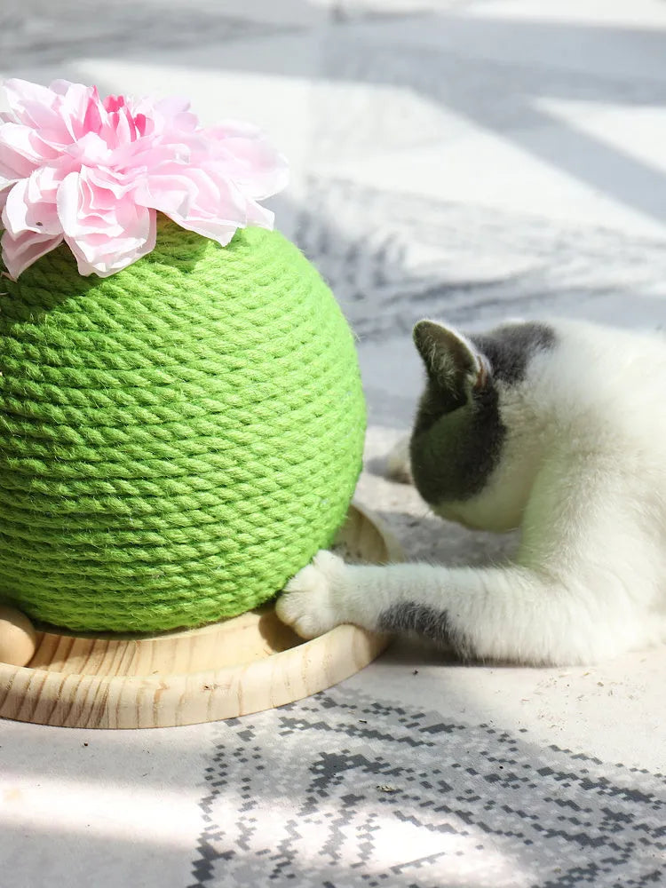PP cactus shape cat grinding paw toy for vocal play, shown in Cat head type, Circular, or Rotary table type colour option.