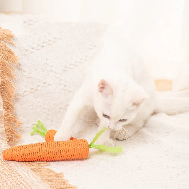 Set of assorted cat toys including fabric carrots, plastic ringing stones, paper crinkles, and wooden grinding sticks