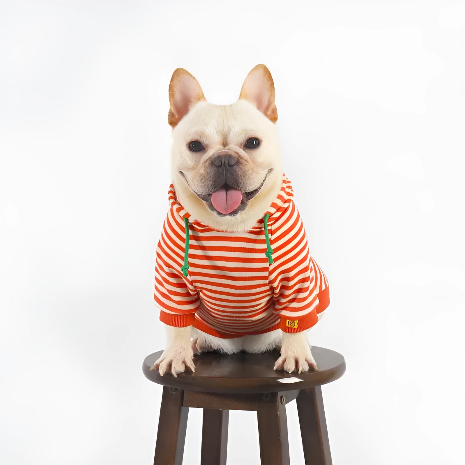 Orange cotton hooded dog sweater on a mannequin, Japanese Korean style