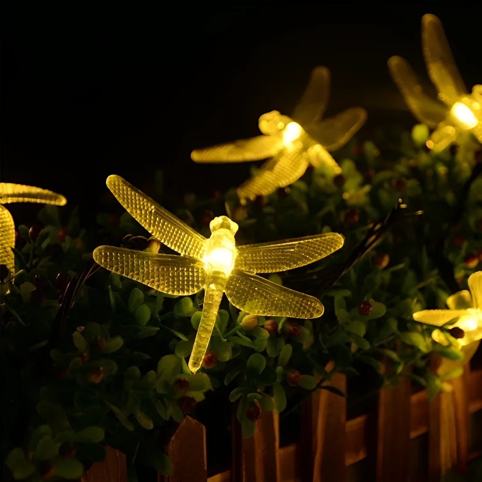 Outdoor solar-powered dragonfly string lights with garden spike, shown in a warm white glow
