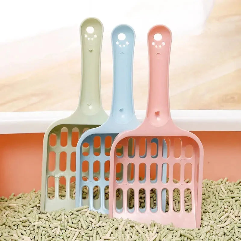 Plastic cat litter scoop in blue colour with dimensions 20cm long by 9cm wide