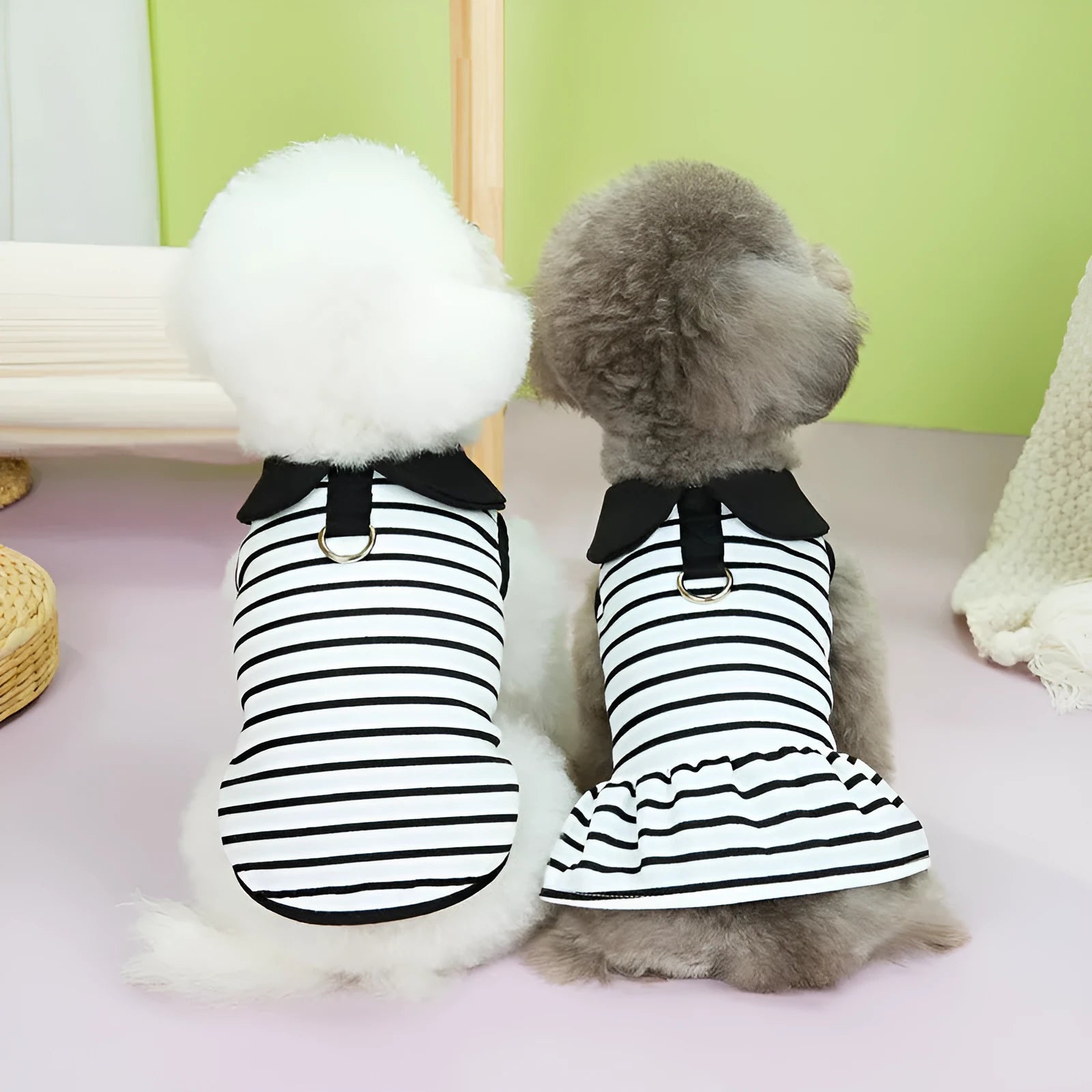 Pet dog wearing striped cotton T-shirt and matching skirt summer outfit set
