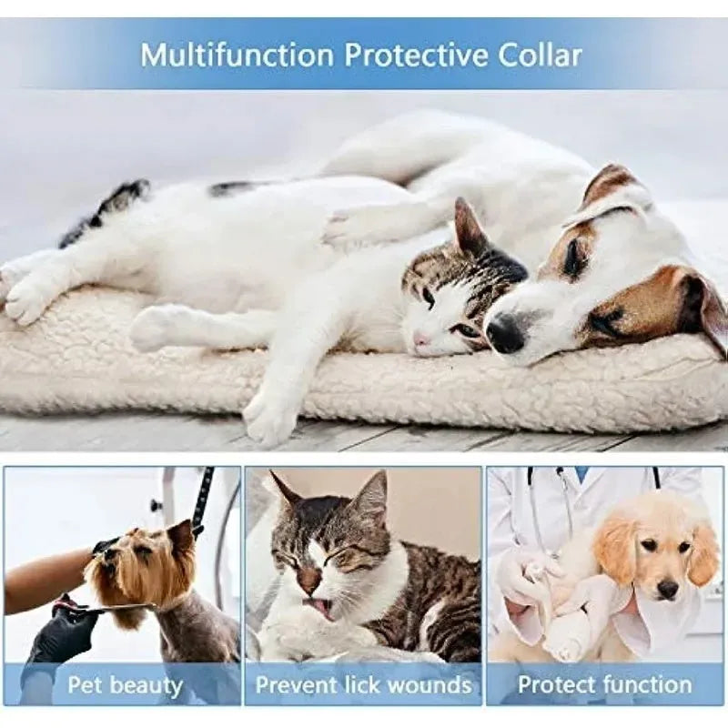 Blue inflatable protective recovery collar for a dog, showing soft padded ring and adjustable buckle strap.