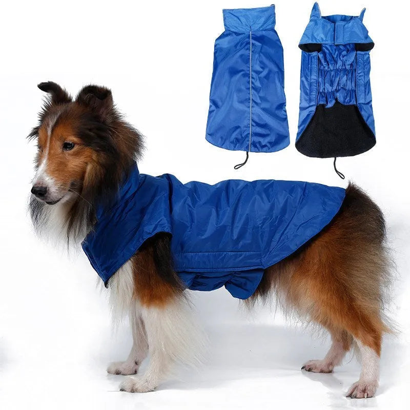 Waterproof dog vest in blue tarpaulin material on a dog outdoors in rain