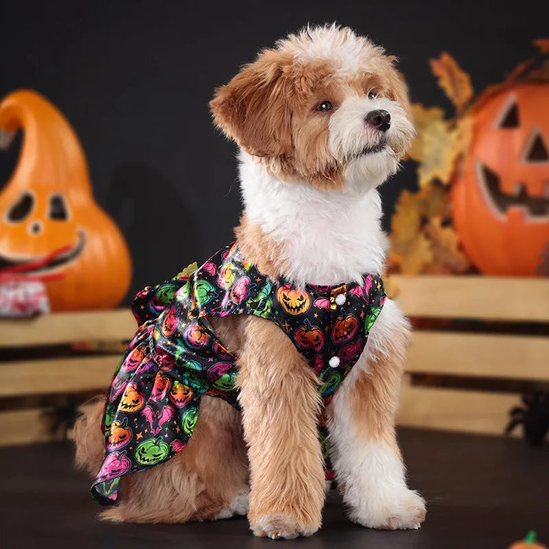 Halloween dog costume with angel wings in bright pumpkin orange and bat print patterns
