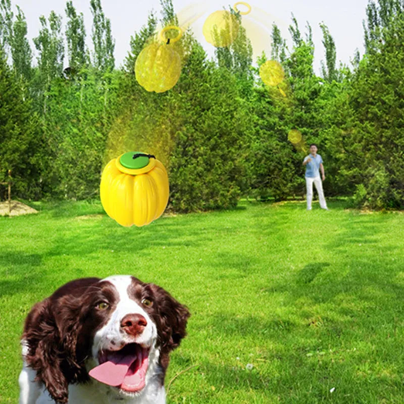Orange plastic pumpkin-shaped dog chew toy with squeaker on a green background