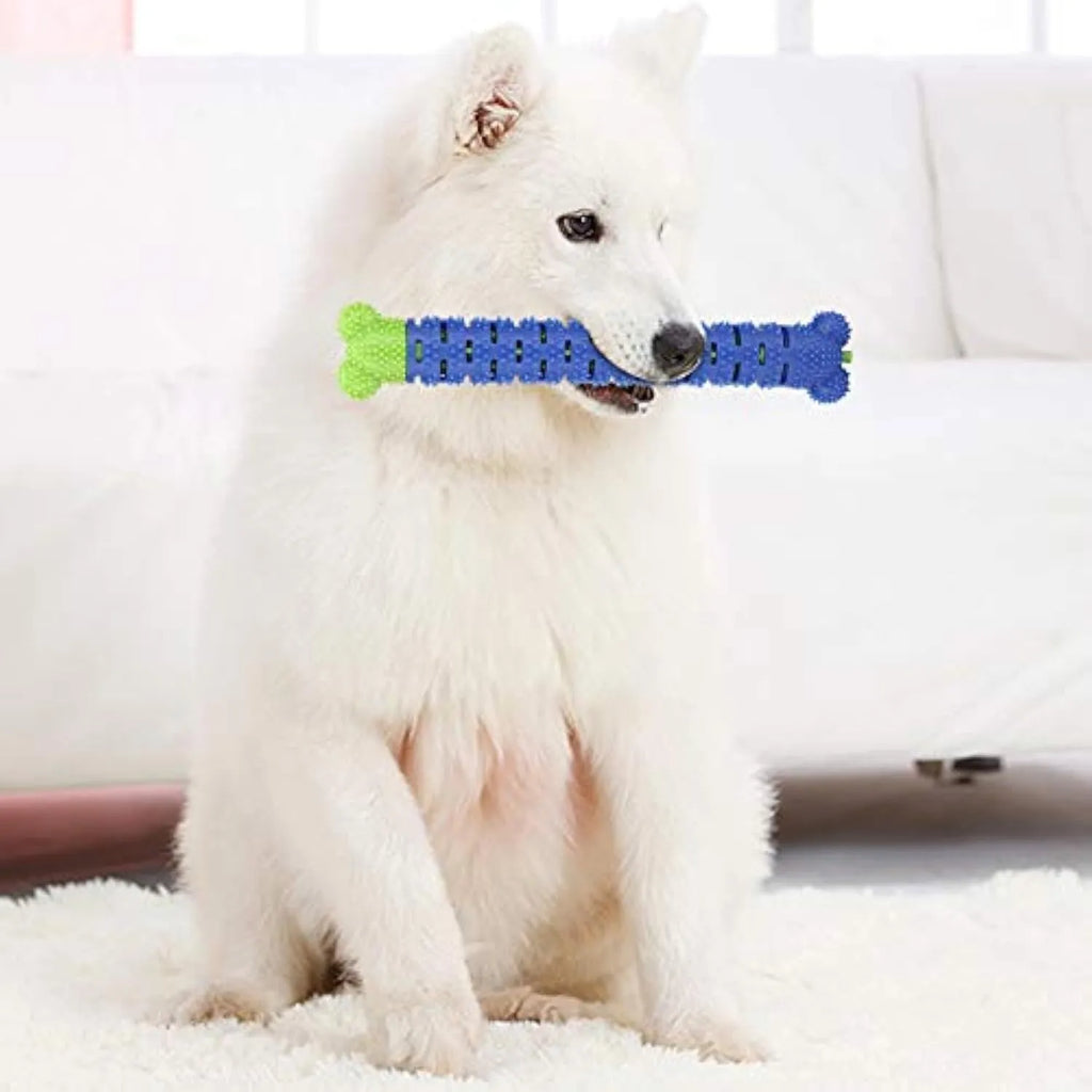 Blue and green silicone dog dental toy with brush head texture, nodules, and an integrated rope for chewing and play.