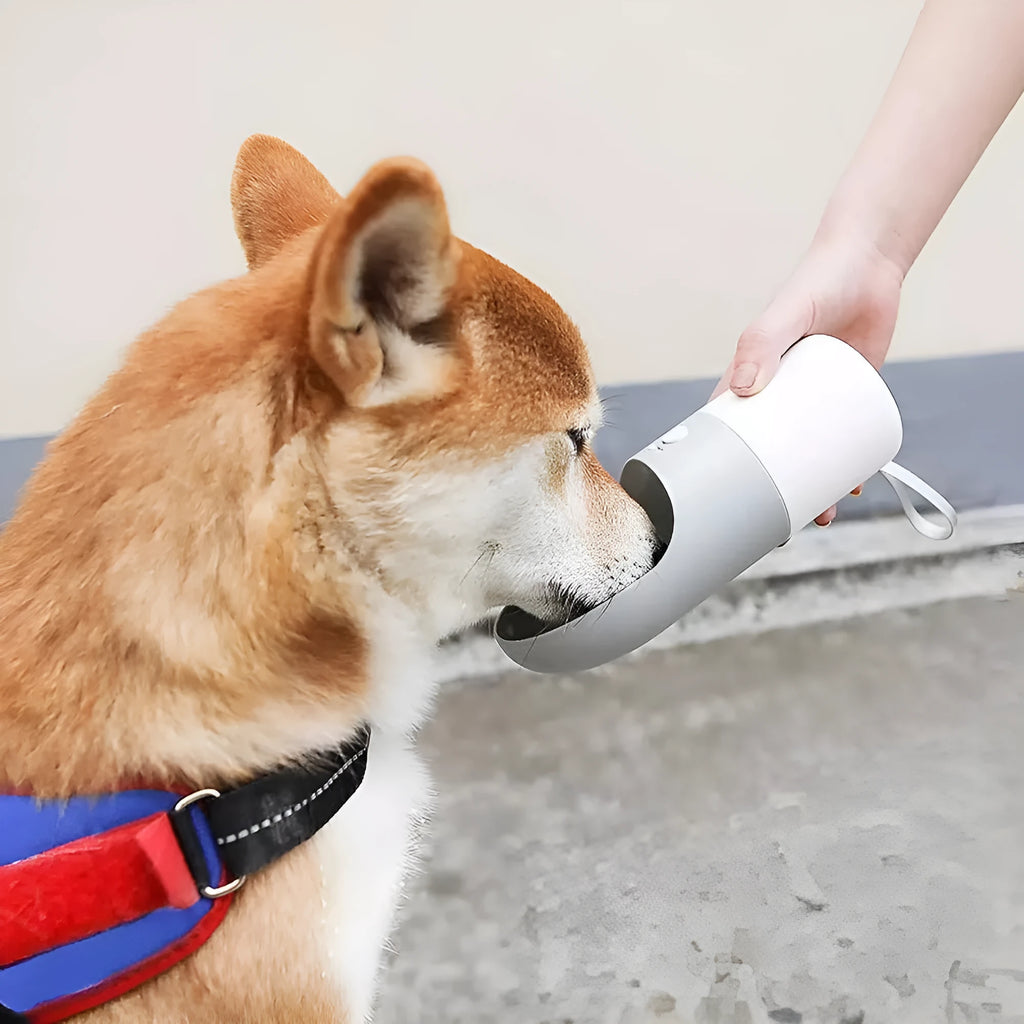 MOESTAR white and grey rocket-shaped pet drinking cup with a black drinking nozzle and lock button.