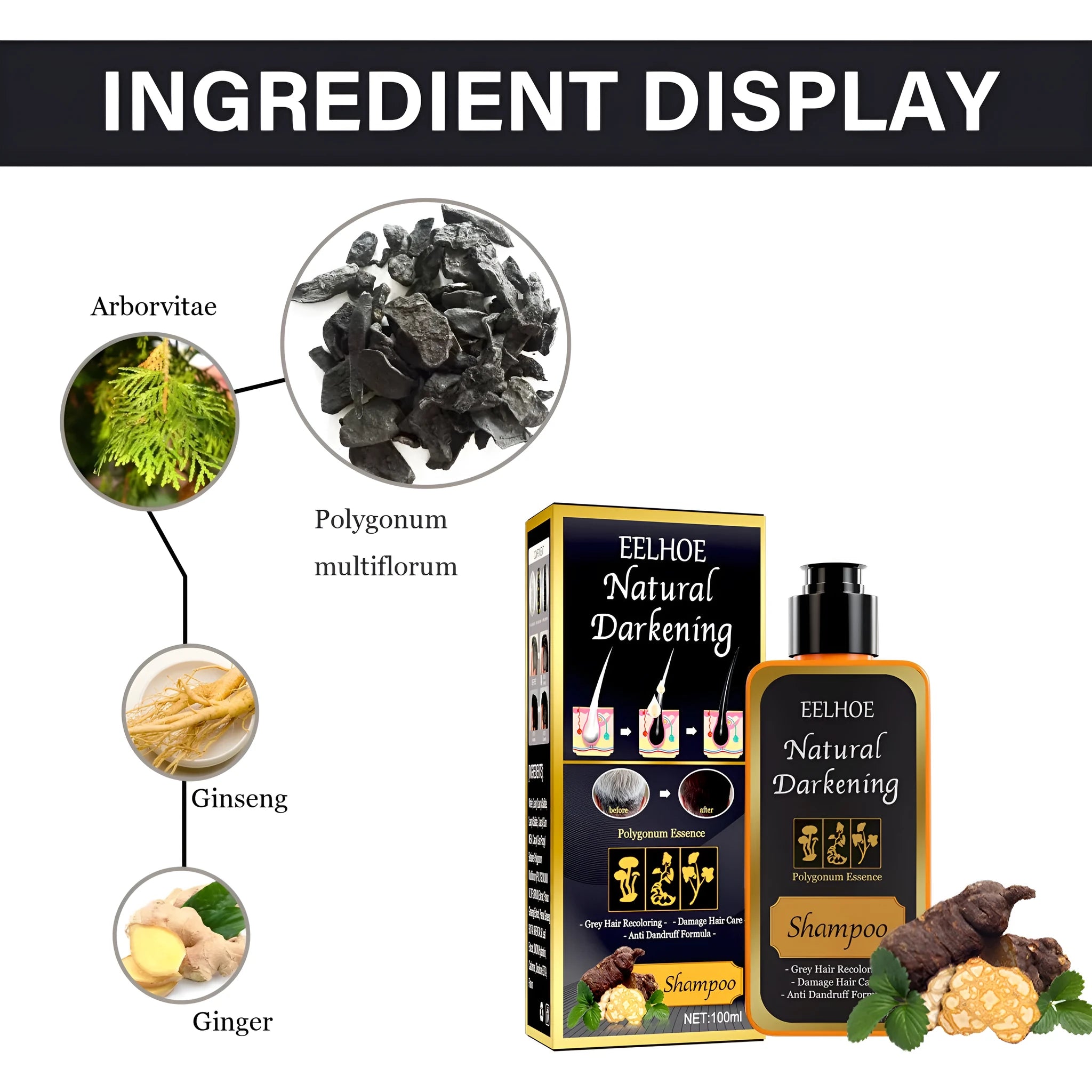 Boxed 100ml bottle of Polygonum Multiflorum Shampoo for natural colour restoration and scalp care.