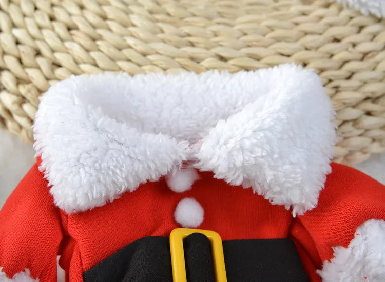 Red polar fleece Santa Claus costume for a small dog standing on a festive background.
