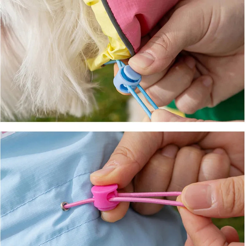 Waterproof 4-leg dog jumpsuit with hood in blue on a dog, reflective details visible