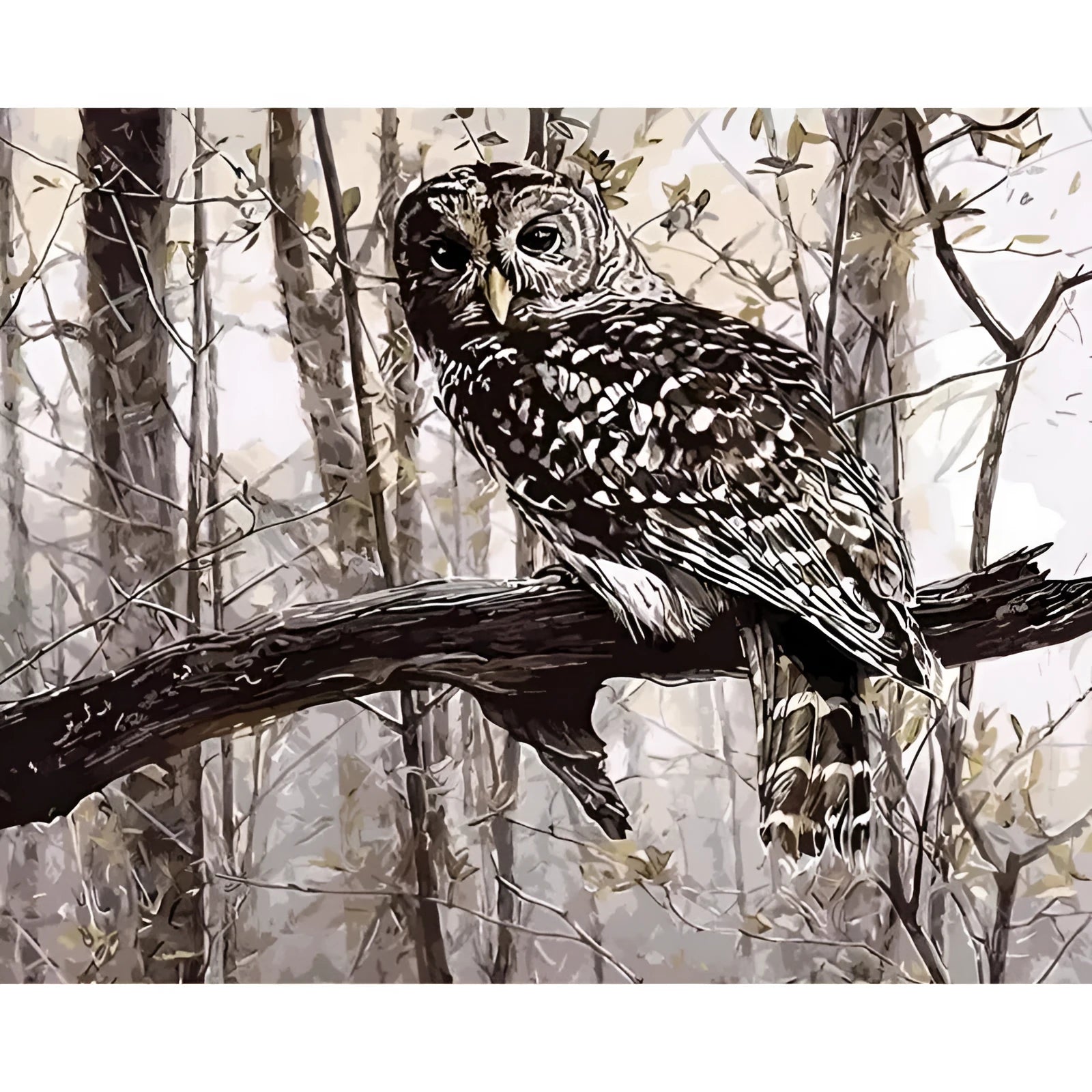 Owl design painting by numbers kit with canvas, acrylic paints, and brushes on a table.