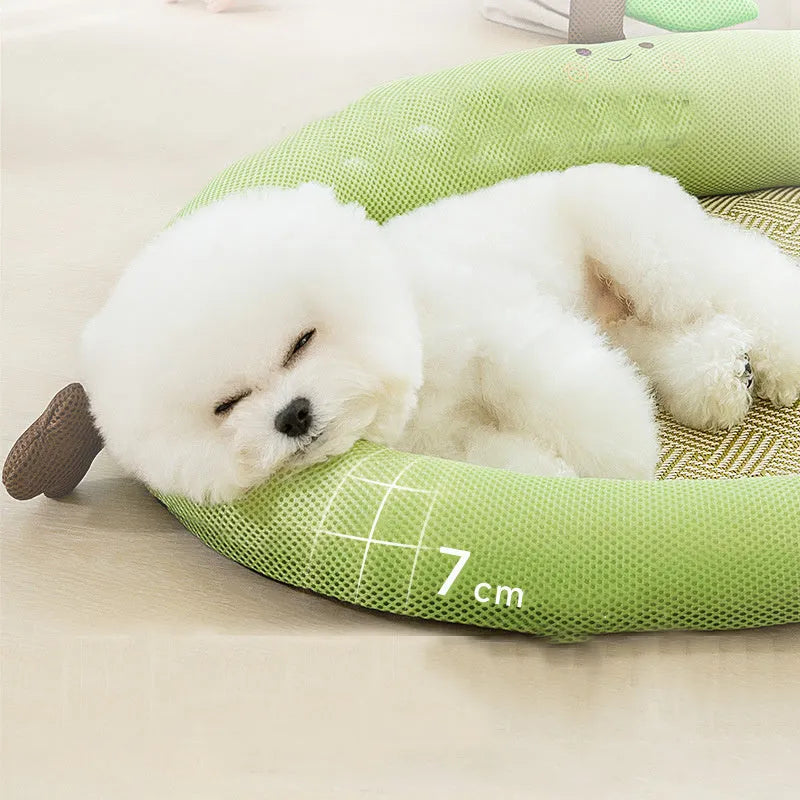 Green fruit backrest pet nest mat for dog or cat on floor.