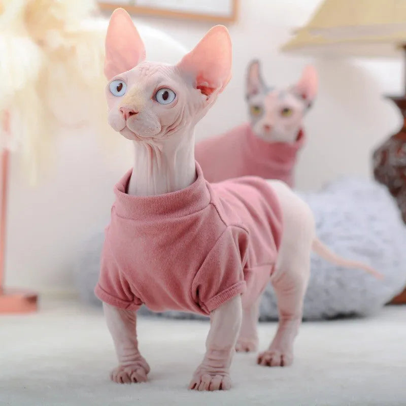 Hairless cat wearing a toothpick Dralon base sweater in cherry pink on a light background