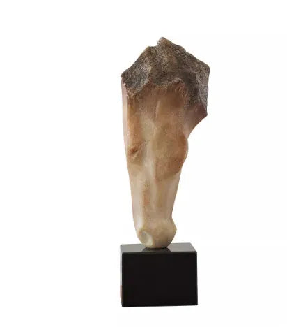 French retro abstract carved horse head desktop sculpture ornament